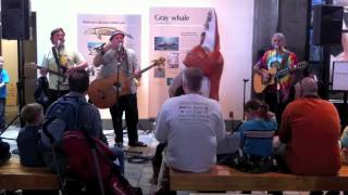 Banana Slug String Band - 5 jun 2011