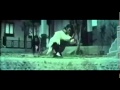Chen Kuan Tai S Iron Monkey
