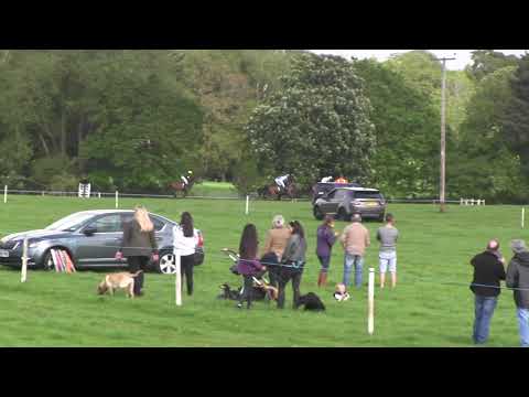 DUKE ARCADIO 19 5 2019