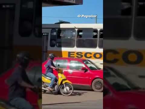 Passageiros inusitados: cavalos são flagrados dentro de ônibus escolar no Tocantins