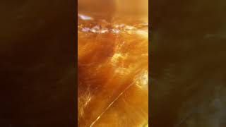 Собака по кличке Наиль