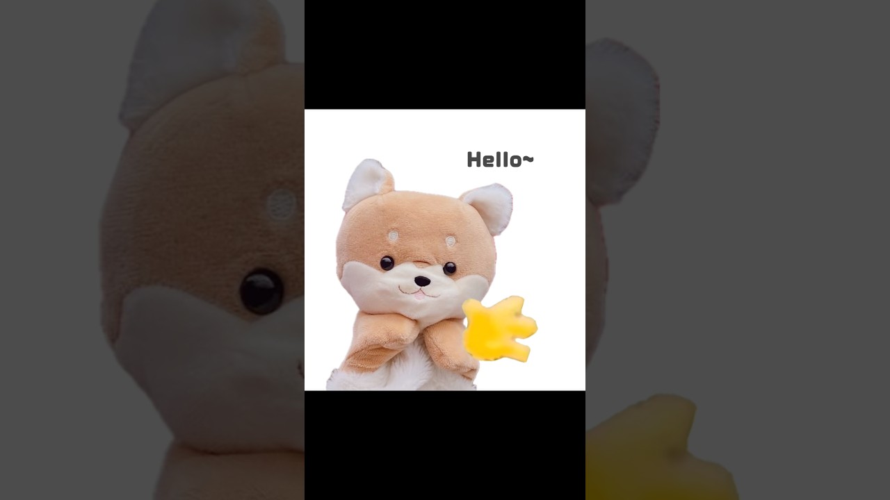 Hello👋 #stuffedtoy #ぬいぐるみ #fypシ