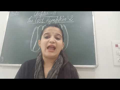 The lost pumpkin 2(Part-1)