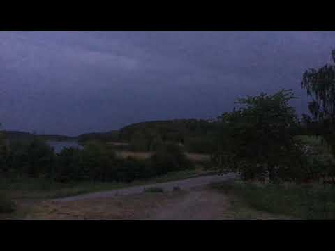 Fantastische Vogelstimmen Nachtigall Gesang Schweden Näktergal