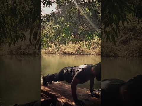 Alight motion cme back