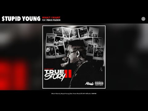 $tupid Young - What I Want (Audio) (feat. Fenix Flexin)