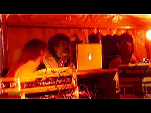 *Summer Reggae Fest 2011 (channel one, obf, legal shot, johnny clarke, echo minott, al campbell...)