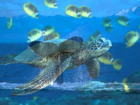 Lucenzo feat Big Ali