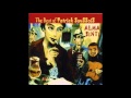 Swinging Tiger - Patrick Saussois & Alma Sinti