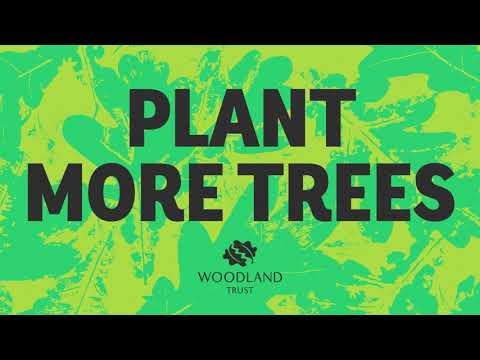 'Plant More Trees' TV Ad