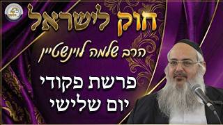 חוק לישראל - פרשת פקודי - יום שלישי | הרב שלמה לוינשטיין (ארגון קול הלשון) - התמונה מוצגת ישירות מתוך אתר האינטרנט יוטיוב. זכויות היוצרים בתמונה שייכות ליוצרה. קישור קרדיט למקור התוכן נמצא בתוך דף הסרטון