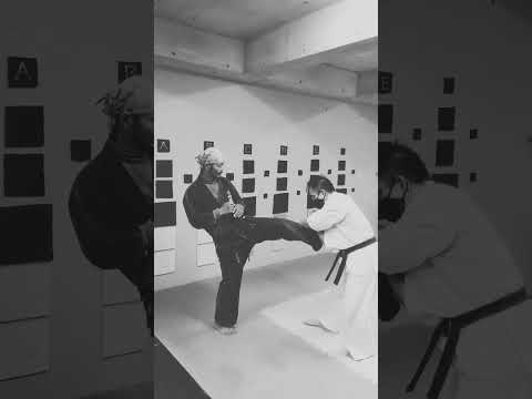 約束組手　　　　　　　　　　　　　　相手のジャブに合わせてインサイドから滑り込んで接触　　　　その後の展開は、自由に(◠‿◕)b  　　　　　　　　　　#回蹴り　#踏み蹴り　#ジャブ