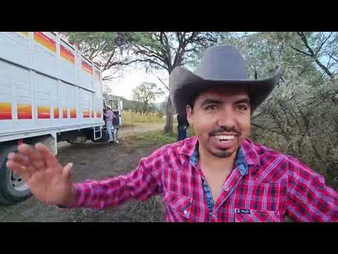 Jaripeo San Agustín Mexquitic De Carmona Victor Banda y su dinastia norteña (19 OCT) | PARTE 1