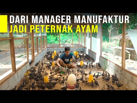 , title : 'Tinggalkan Posisi Manajer dan Memilih Jadi Peternak Ayam Di Kampung'