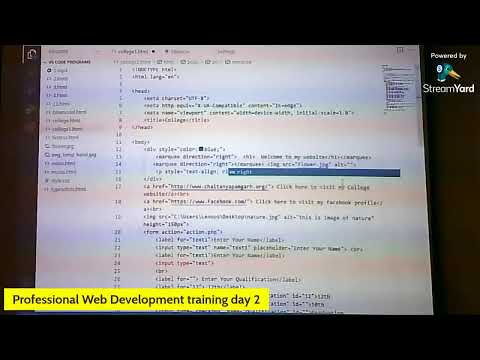 professional web development day 2