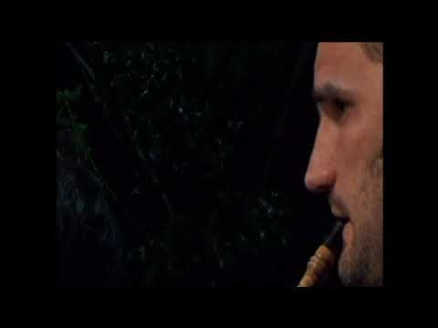 201651 Philippe Berthou Plinn