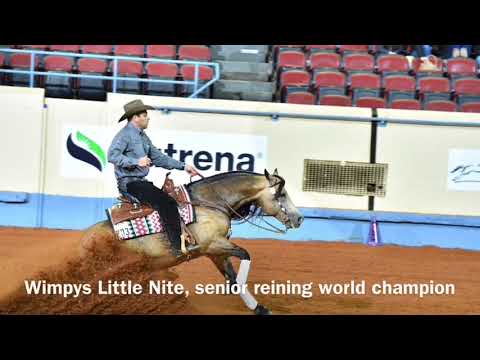 2017 AQHA Senior Reining