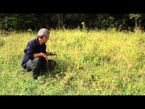 Kent Wildlife Trust | Peninsula Times