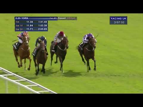 Great Voltigeur Stakes 2015 Storm The Stars