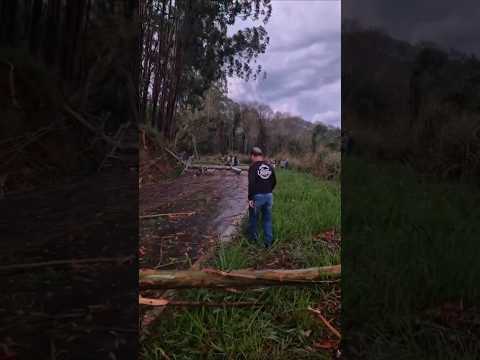 tempestade em Brejetuba Espírito Santo 25/11/25