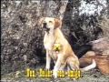 CANTA CON NOSOTROS EL LIBRO DE LA SELVA 1