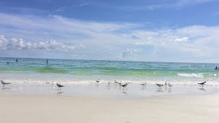 Siesta Key Beach, Sarasota, Florida