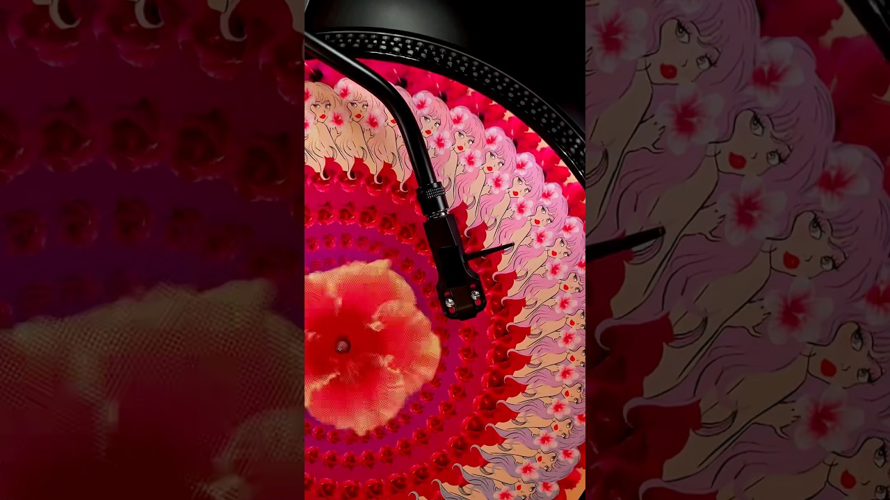a vinyl record that makes someone’s hair actually change colors? #zoetrope #animation #animationloop