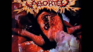 Aborted- The Purity Of Perversion