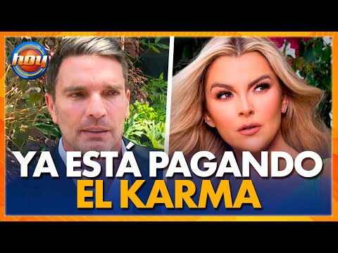 Julián Gil rompe el silencio sobre Marjorie de Sousa y desata polémica | Programa Hoy