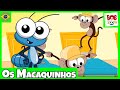 Os Macaquinhos - Bob Zoom - Video Infantil Musical Oficial