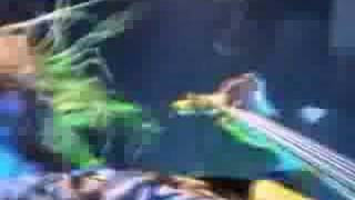 YATTERING &quot;PANIC IN THE SEA OF BLOOD (OTITIS MEDIA CHRONICA)