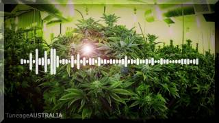 ¡MAYDAY! - Highs &amp; Lows (ft. Ace Hood)