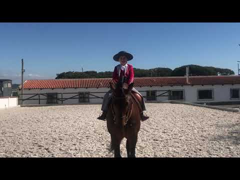 Prova Preliminares Endiabrado e Lara