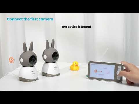 Connection Guide (2 Cams)