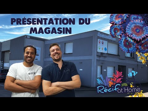 Récif At Home