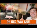 Wat hebben de Axolotls gedaan? | DierenpraatTV