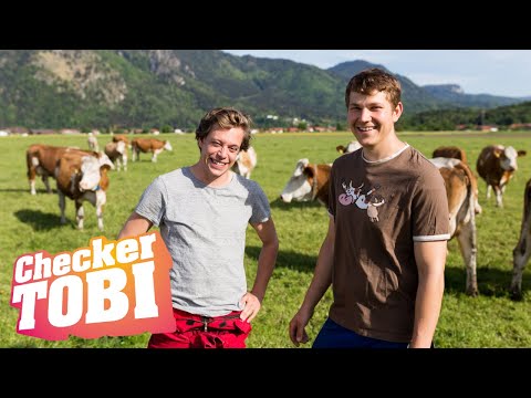 , title : 'Der Milch-Check | Reportage für Kinder | Checker Tobi'