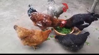 সংসারে মেয়েদের খাটুনির কোনো মূল্য নেই। আর কোনো হিসাব ও নেই।