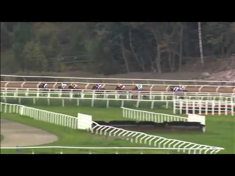 2013.09.15 Lanwades Stud Stakes - Angel Light