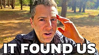 Something Found Us in the Woods… And It’s Causing Damage