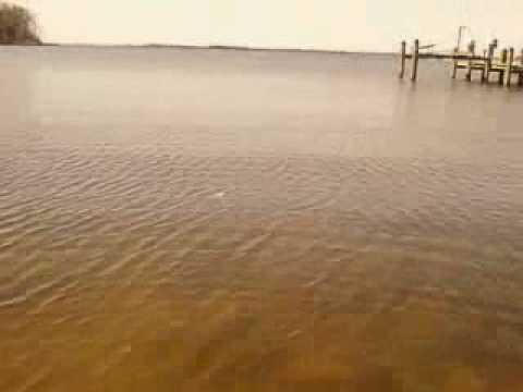 Bad News Report, great Commercial.