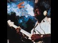 Albert King - I Can't Hear Nothing But The Blues