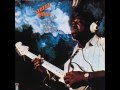 Albert King - I Can't Hear Nothing But The Blues ...