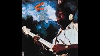 Albert King - I Can't Hear Nothing But The Blues