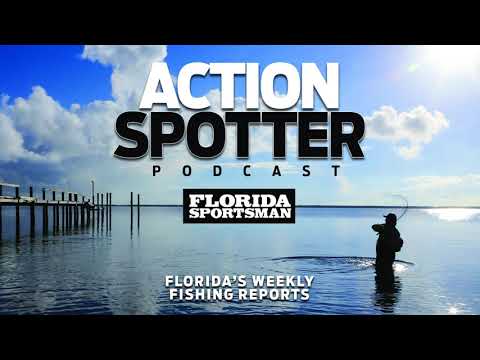 Episode 118: The Fish Are Fired Up For Fall | Action Spotter Podcast