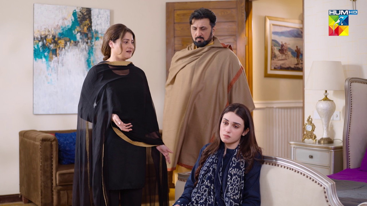 Shohar Ke Aatay Hi Is Aurat Ke Tewar Badal Gaye.. #AyeDilAazmaNahin #mirzazainbaig #hinatariq #humtv