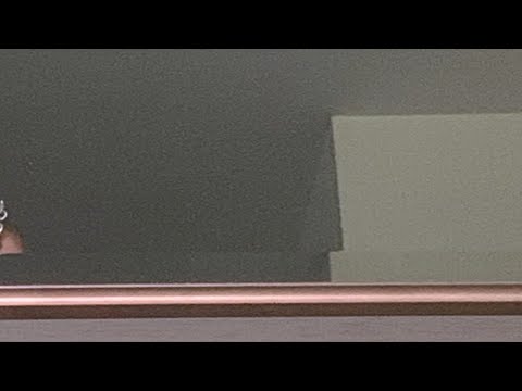 heylog - the war II (audio)