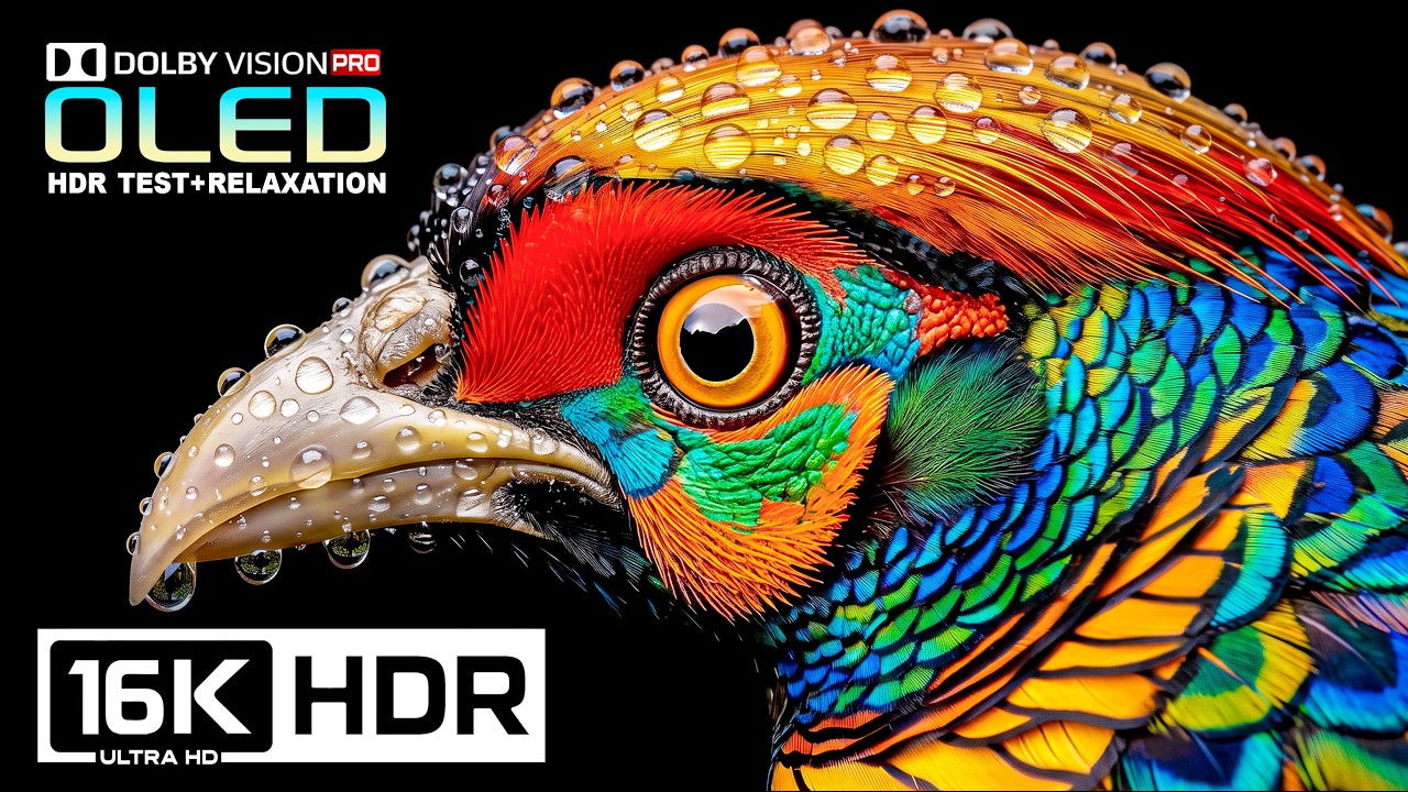 Unbelievable 16K Dolby Vision 120FPS with Stress relief music | 8K Video | 4K Video ULTRA HD TV