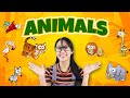 Learn About Animals Fun Facts Animals Zoo Animals For Toddlers And Kids