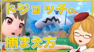 【ポケモンSV】ドジョッチの捕まえ方！探し方とテクニック紹介。技マシン「じしん」素材を集めよう